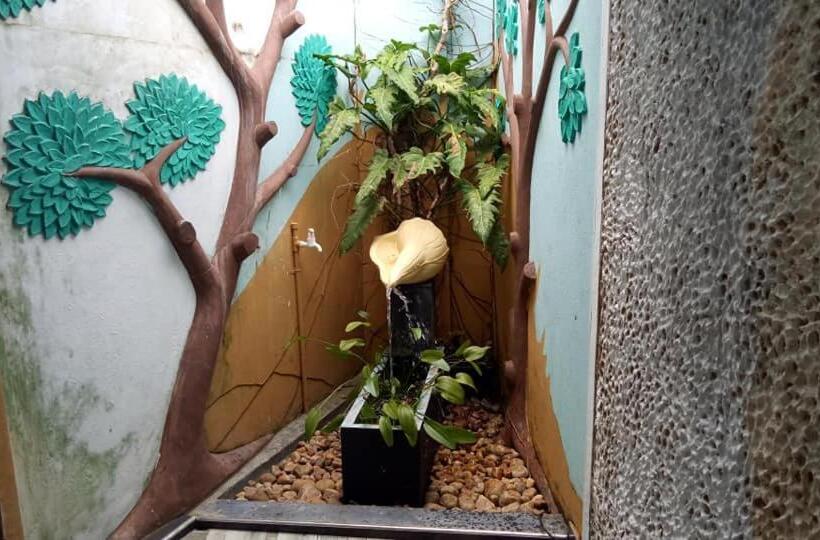 غرفة ديلوكس, Twin Palms