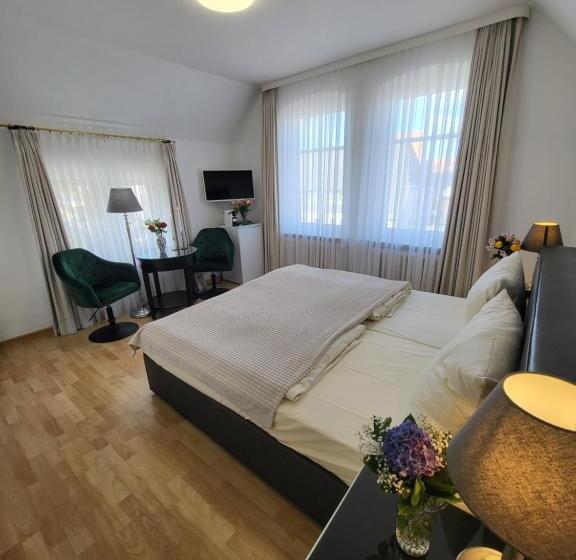 スタンダードルーム, Villa Wally