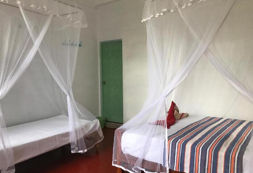 コンフォートトリプルルーム, Wilpattu Dolosmahe