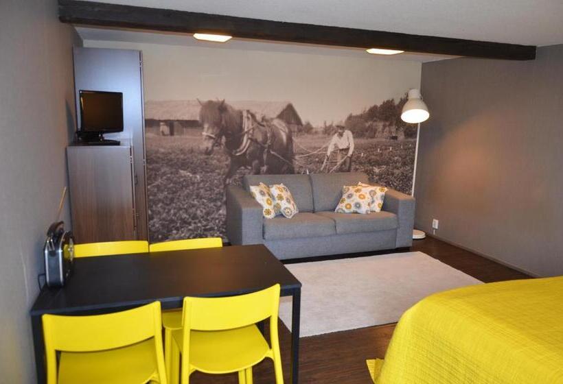 شقة غرفة واحدة, Tammiston Apartments