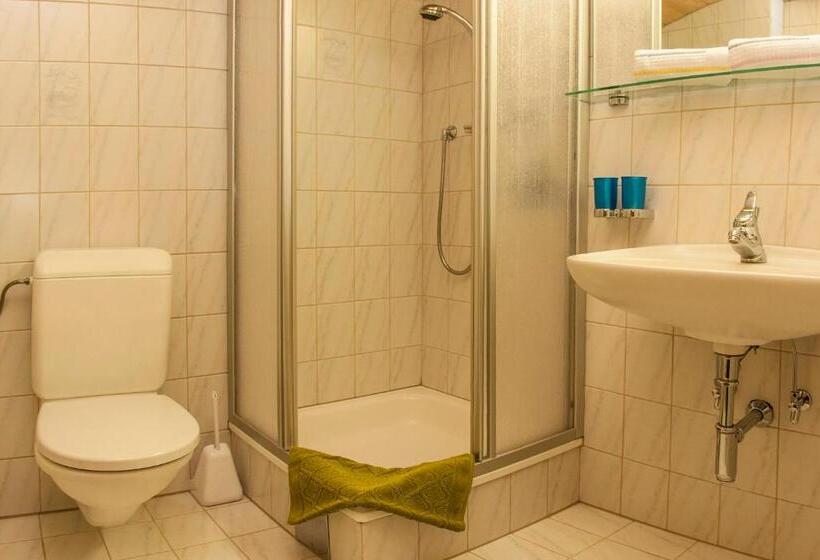 스탠다드 룸, Frühstückspension & Ferienhaus Fädnerspitze