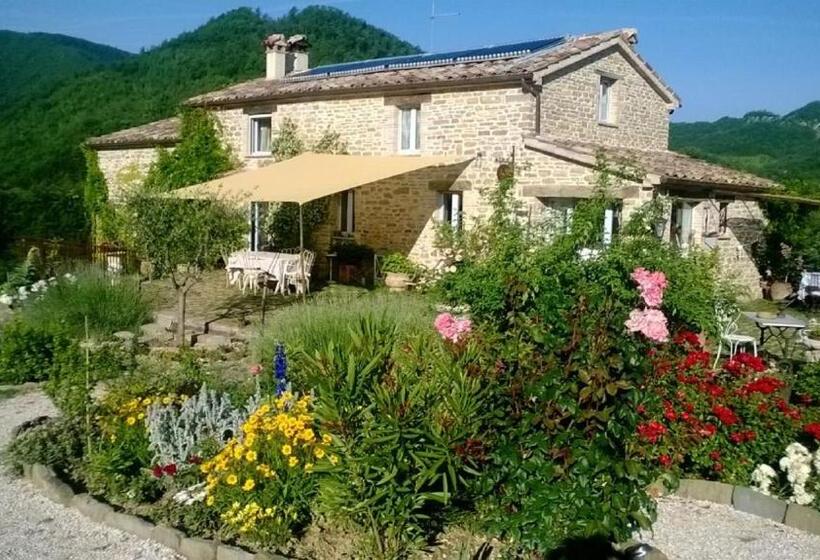 Номер Стандарт, B&b La Pace