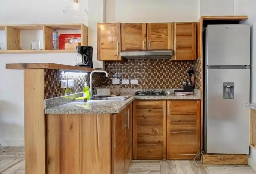 آپارتمان 2 خوابه, Chaykovski Boutique H