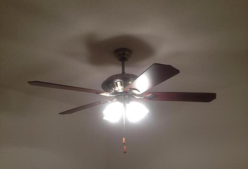 Номер Стандарт, Colonial