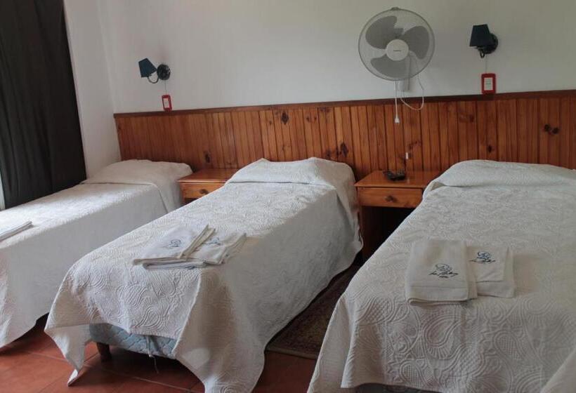 غرفة قياسية ثلاثية, La Ballena