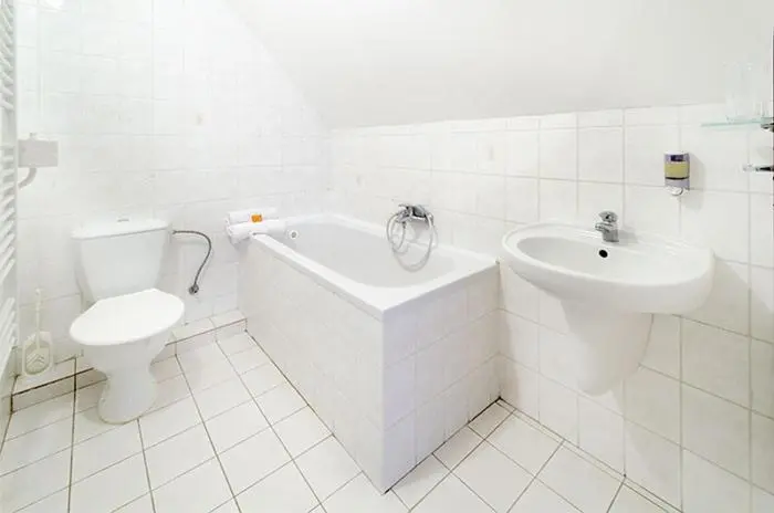 Economy-huone, Spa Hotel Podlesí   Walldorf A Pohádková Vesnička