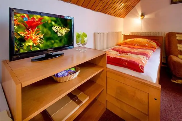 Economy-huone, Spa Hotel Podlesí   Walldorf A Pohádková Vesnička
