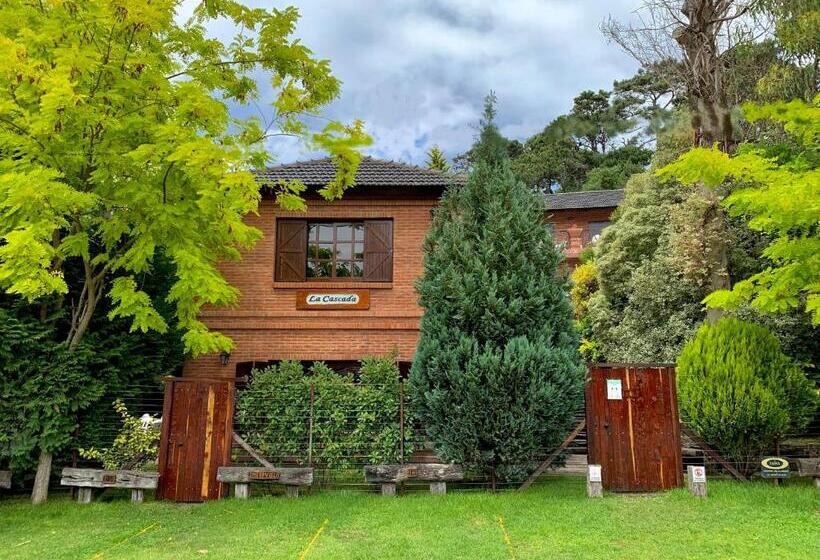 １ベッドルームのスーペリアアパートメント, La Cascada