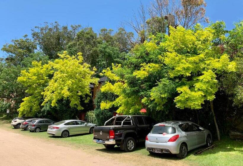 １ベッドルームのスーペリアアパートメント, La Cascada