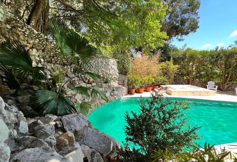 １ベッドルームアパートメント, La Cascada