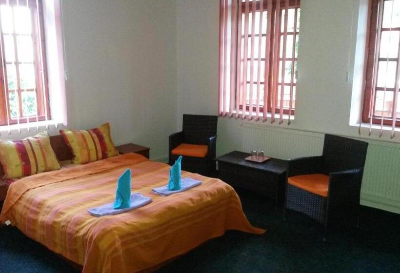 חדר סטנדרט, Casa Frasin