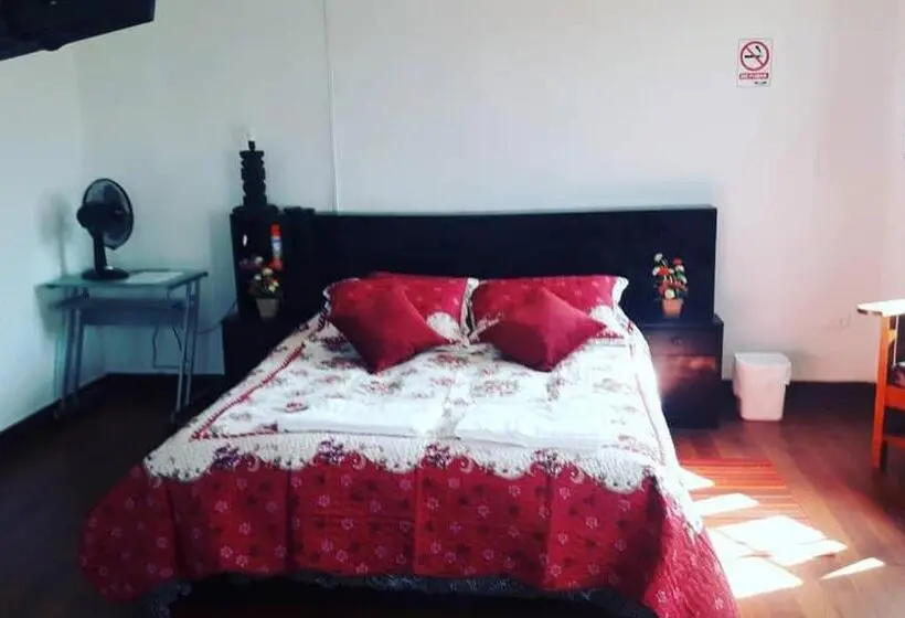 スタンダードシングルルーム, Hostal Cotroneo