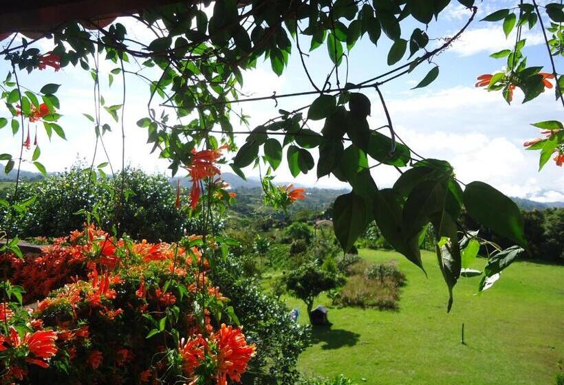 ファミリールーム, Hostal Pachamama