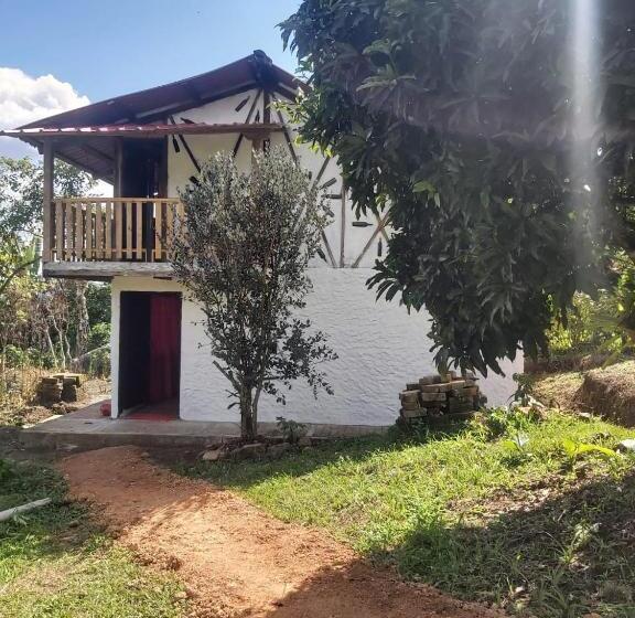 Семейное Бунгало, Hostal Pachamama