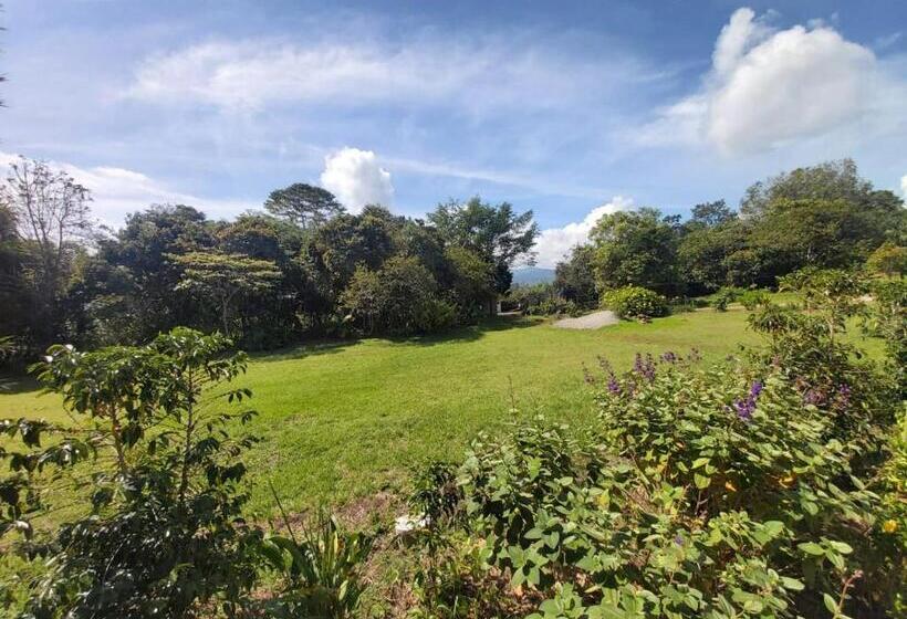 スタンダードトリプルルーム, Hostal Pachamama