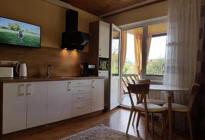 Апартаменты 1 Спальня с Террасой, U Neli