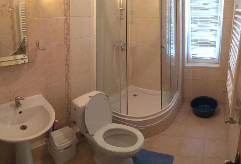 Апартаменты 1 Спальня с Террасой, U Neli