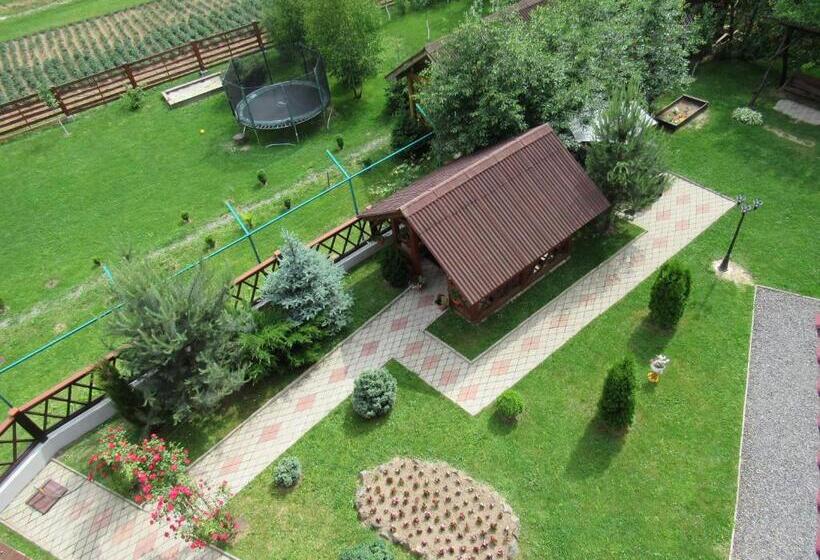 Студия Стандарт, U Neli