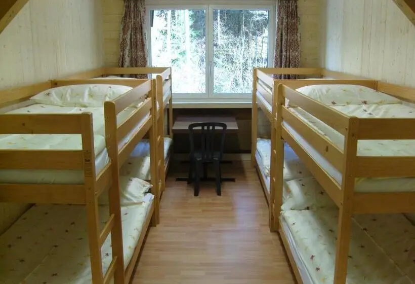 ルームシェアのワンベッド, Vista Resort Hostel