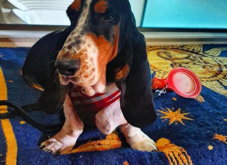 标准间带漩涡浴缸, Pousada Naif