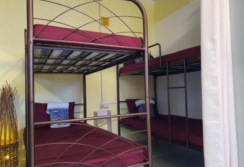 تختخواب در اتاق مشترک, Spot On 90856 Arriva Travellers