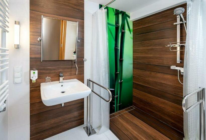 اتاق استاندارد یک تخته برای معلولان, Amazonka Conference And Spa