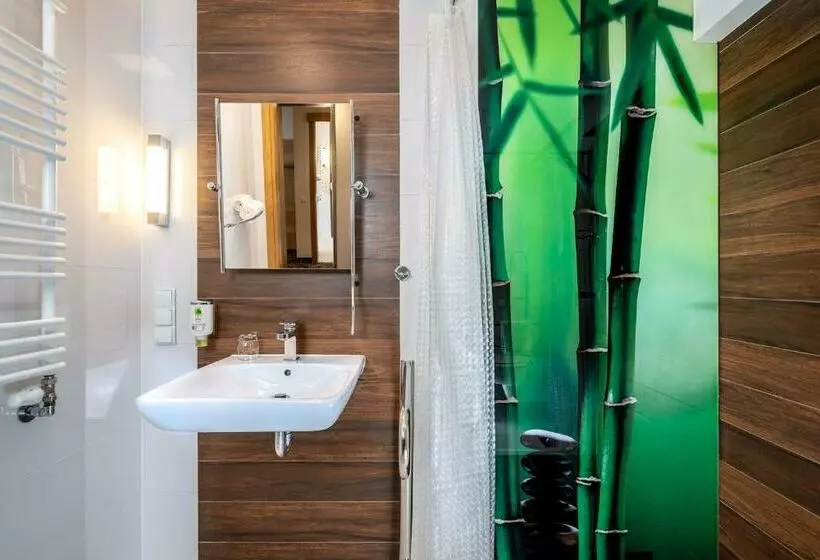 身障者適用シングルルーム, Amazonka Conference And Spa