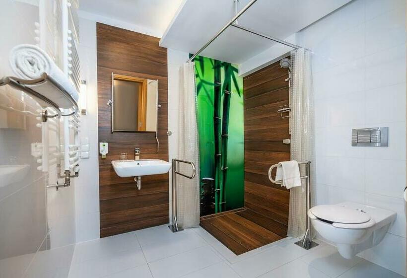 اتاق استاندارد یک تخته برای معلولان, Amazonka Conference And Spa