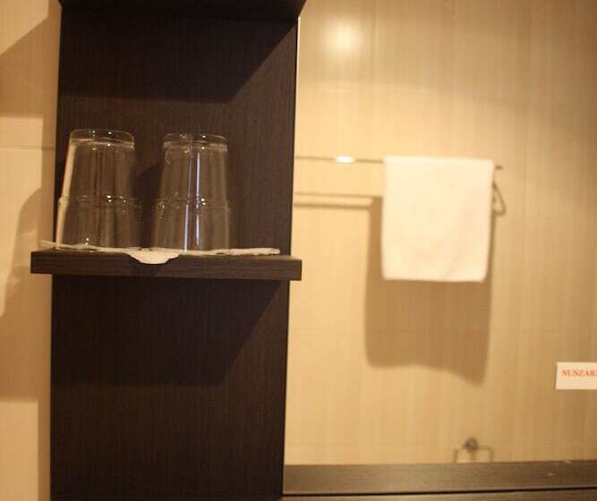 اتاق استاندارد, Dom Polonii