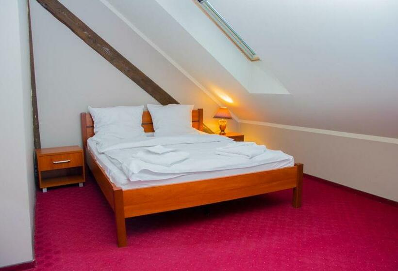 חדר סטנדרט יחיד, Willa Dwór Górny