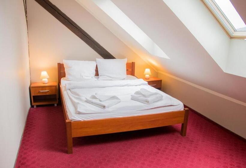 חדר סטנדרט יחיד, Willa Dwór Górny