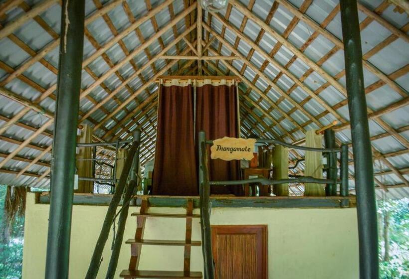 חדר סטנדרט חדר אמבטיה משותף, Ella Jungle Resort