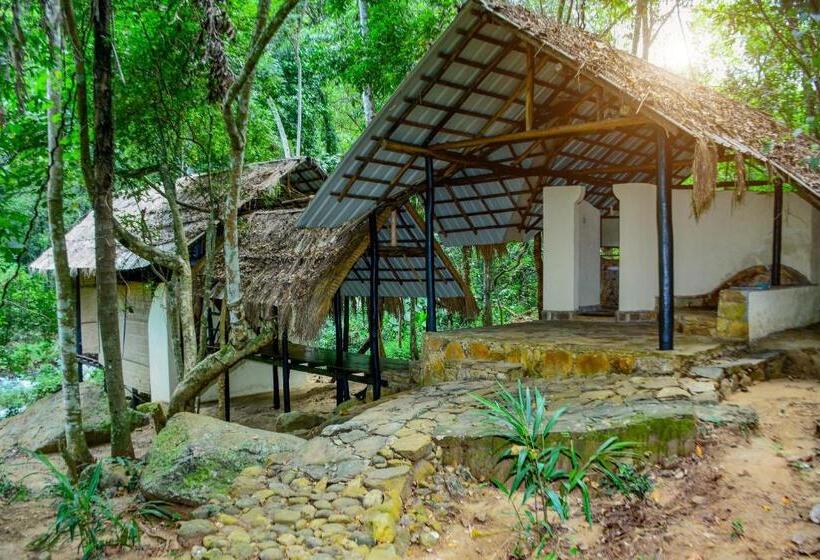 חדר סטנדרט חדר אמבטיה משותף, Ella Jungle Resort