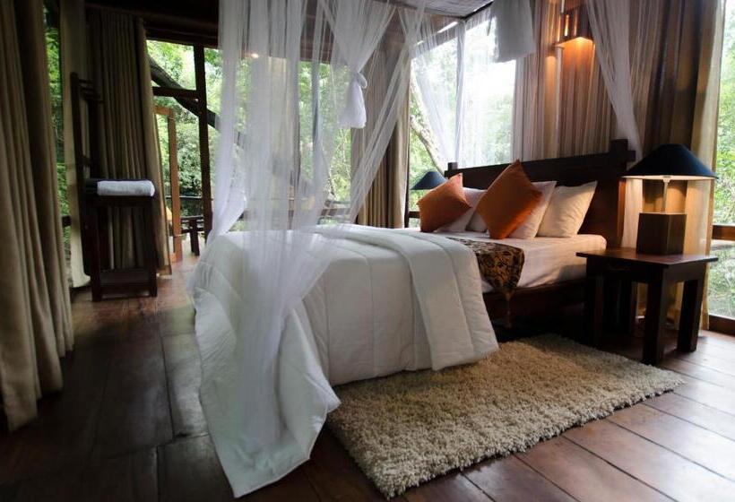 חדר סטנדרט חדר אמבטיה משותף, Ella Jungle Resort