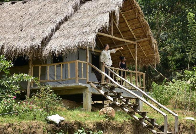 Standard Tent, Ella Jungle Resort