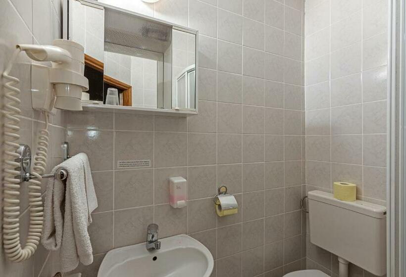 اتاق استاندارد یک نفره, Gostisce Golob