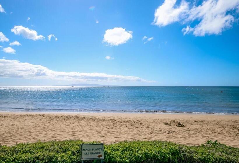 דירת חדר, Kihei Kai 12