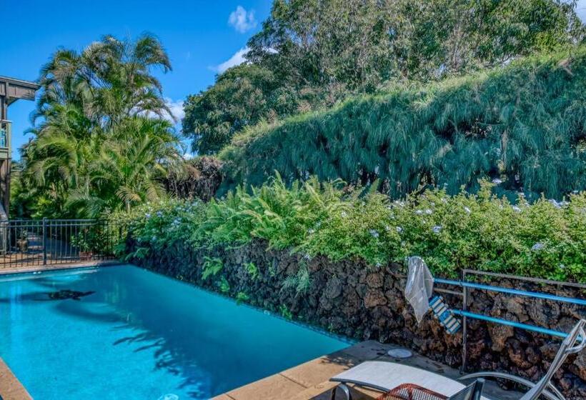 דירת חדר, Kihei Kai 12