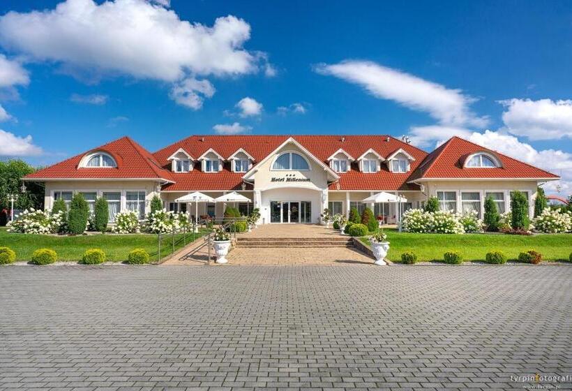 스탠다드 룸, Millenium