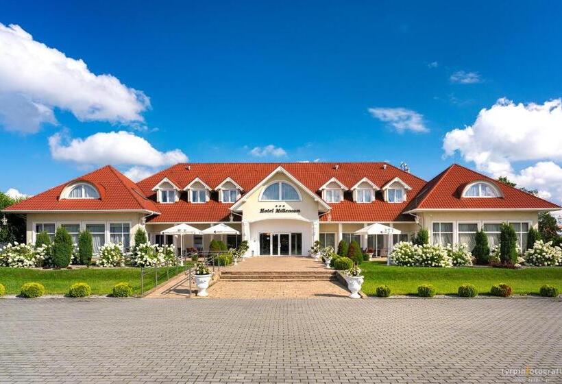 스탠다드 룸, Millenium