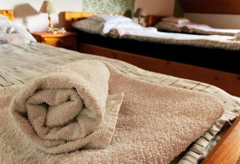 חדר סטנדרט לשלושה, Hot L Mini