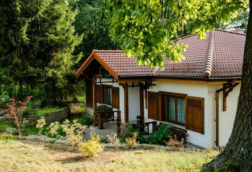 غرفة قياسية, Pałac Czarny Las