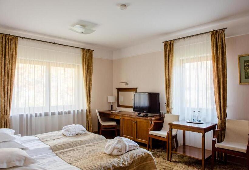 חדר סטנדרט, Pałac Czarny Las