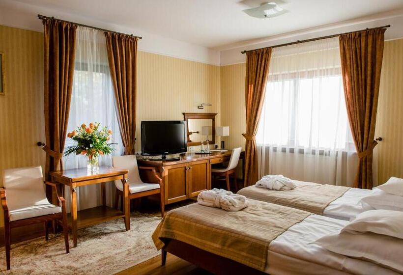 شقة سوبريور غرفة واحدة, Pałac Czarny Las