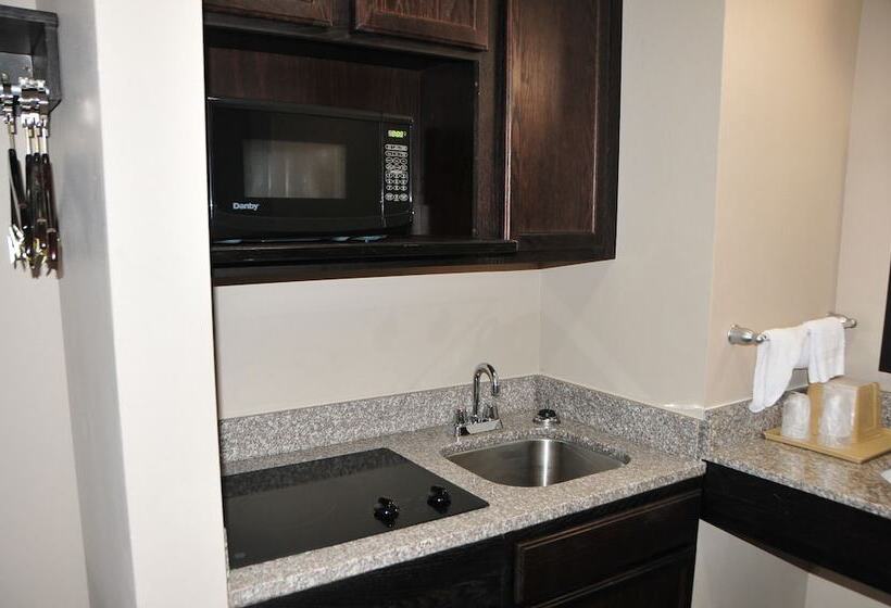 חדר דלוקס, Paradise Inn & Suites