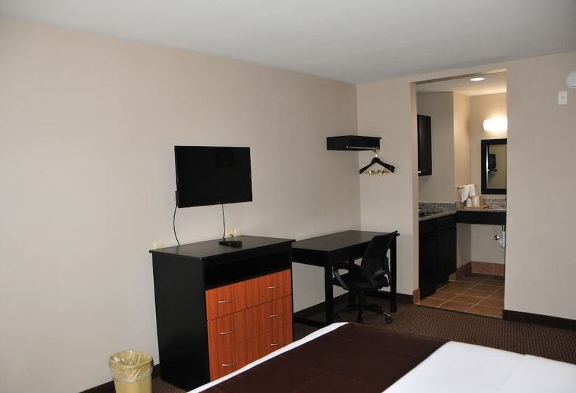 חדר סטנדרט יחיד, Paradise Inn & Suites