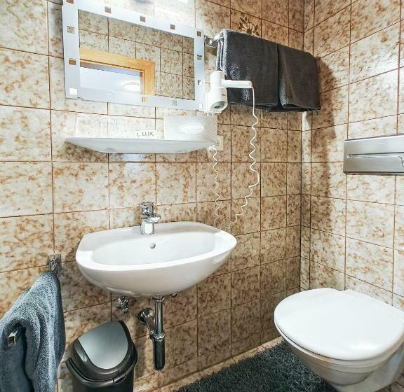 غرفة قياسية, Partenerhof