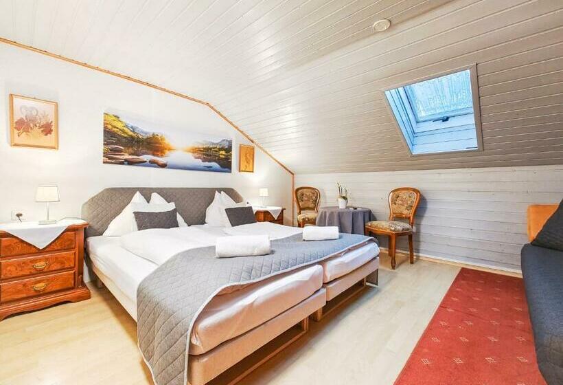 غرفة قياسية, Partenerhof