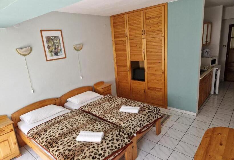 غرفة قياسية, Róza Hotel és Apartmanház