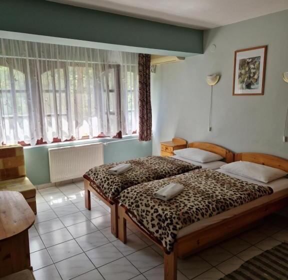 غرفة قياسية, Róza Hotel és Apartmanház